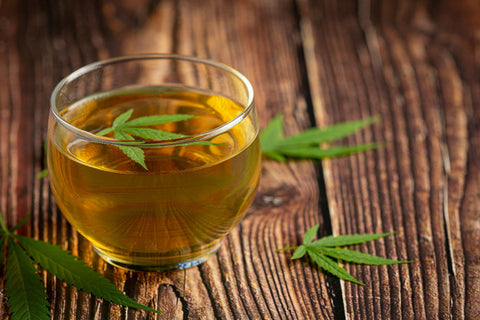 ¿Cómo se toman las infusiones cbd? [Guía Completa]