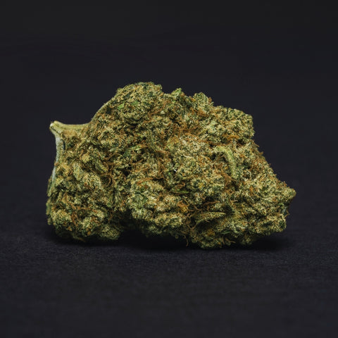 Black Domina Indoor CBD