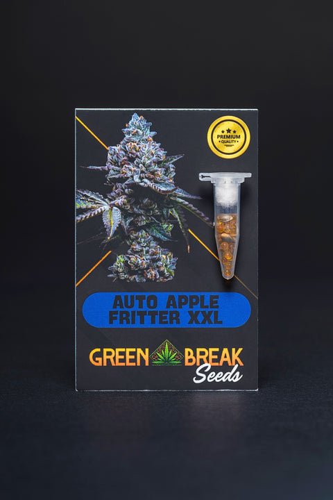 Auto Apple Fritter XXL pack 3 (THC)