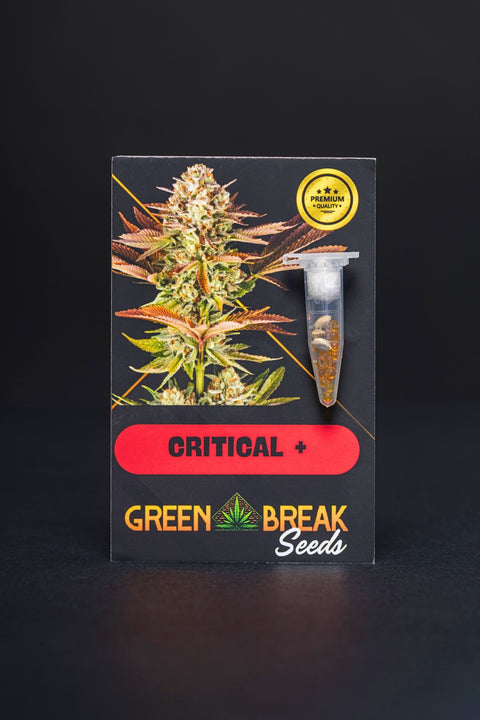 Critical+ pack 3 (THC)