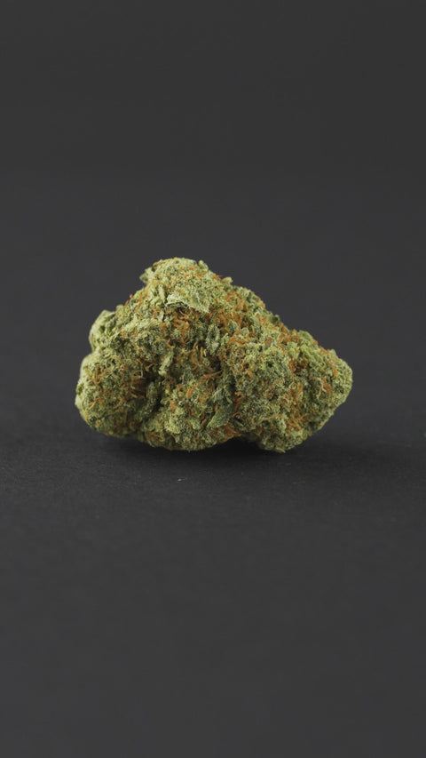 Gelato 33 Indoor CBD