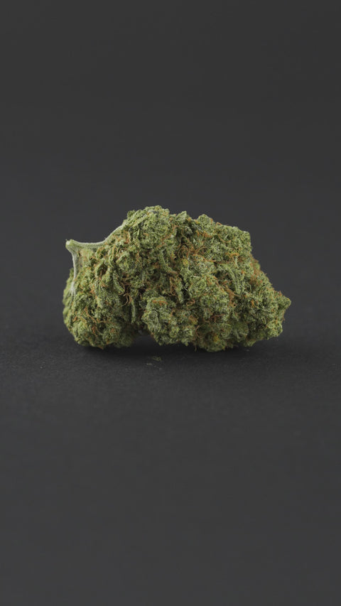 Black Domina Indoor CBD